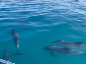 Морские прогулки на катере в Три камня