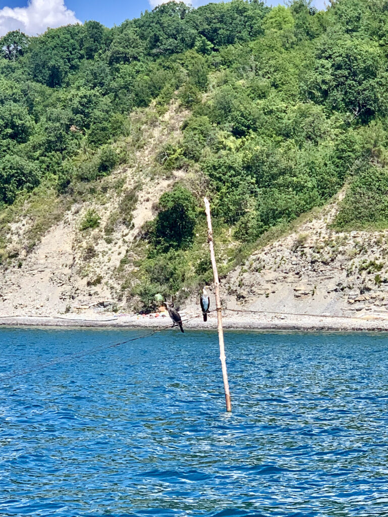 отдых на море в Три Камня