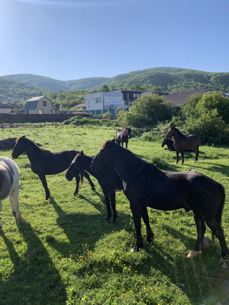 природа в Три Камня