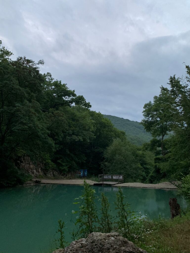 природа в Тенгинке